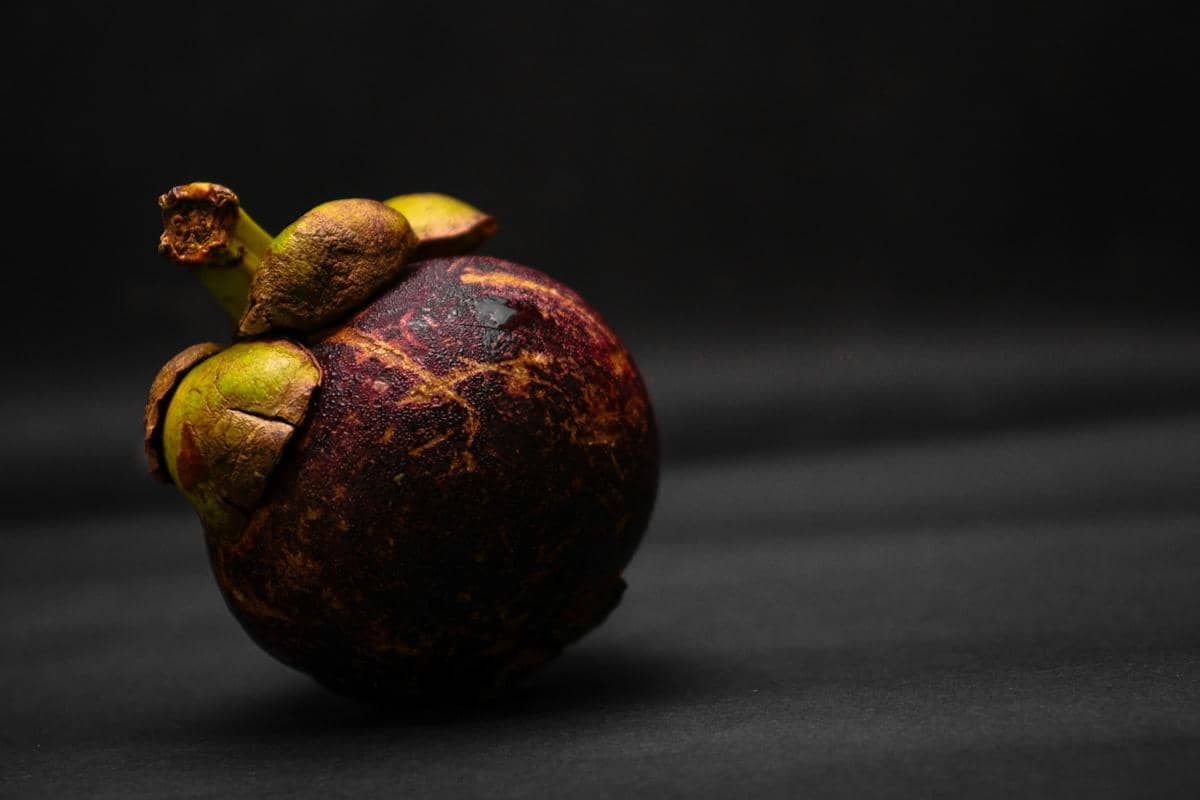 buah manggis