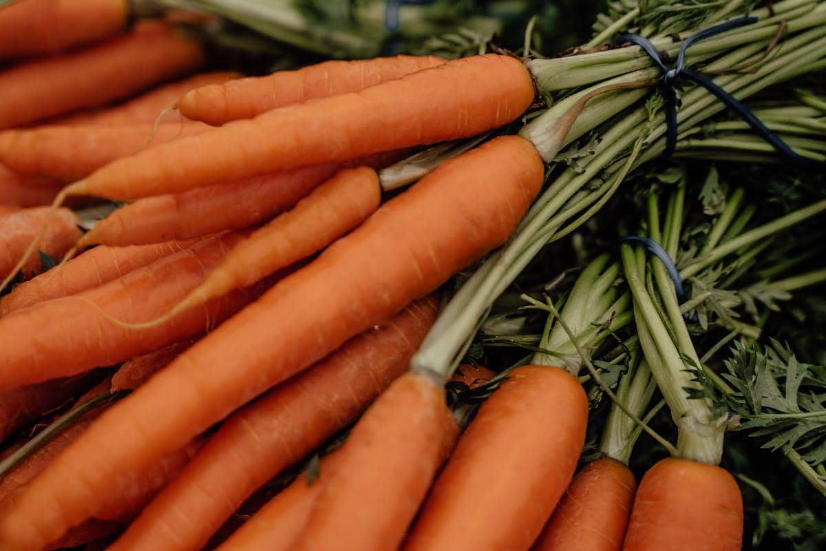 ilustrasi wortel tendersweet