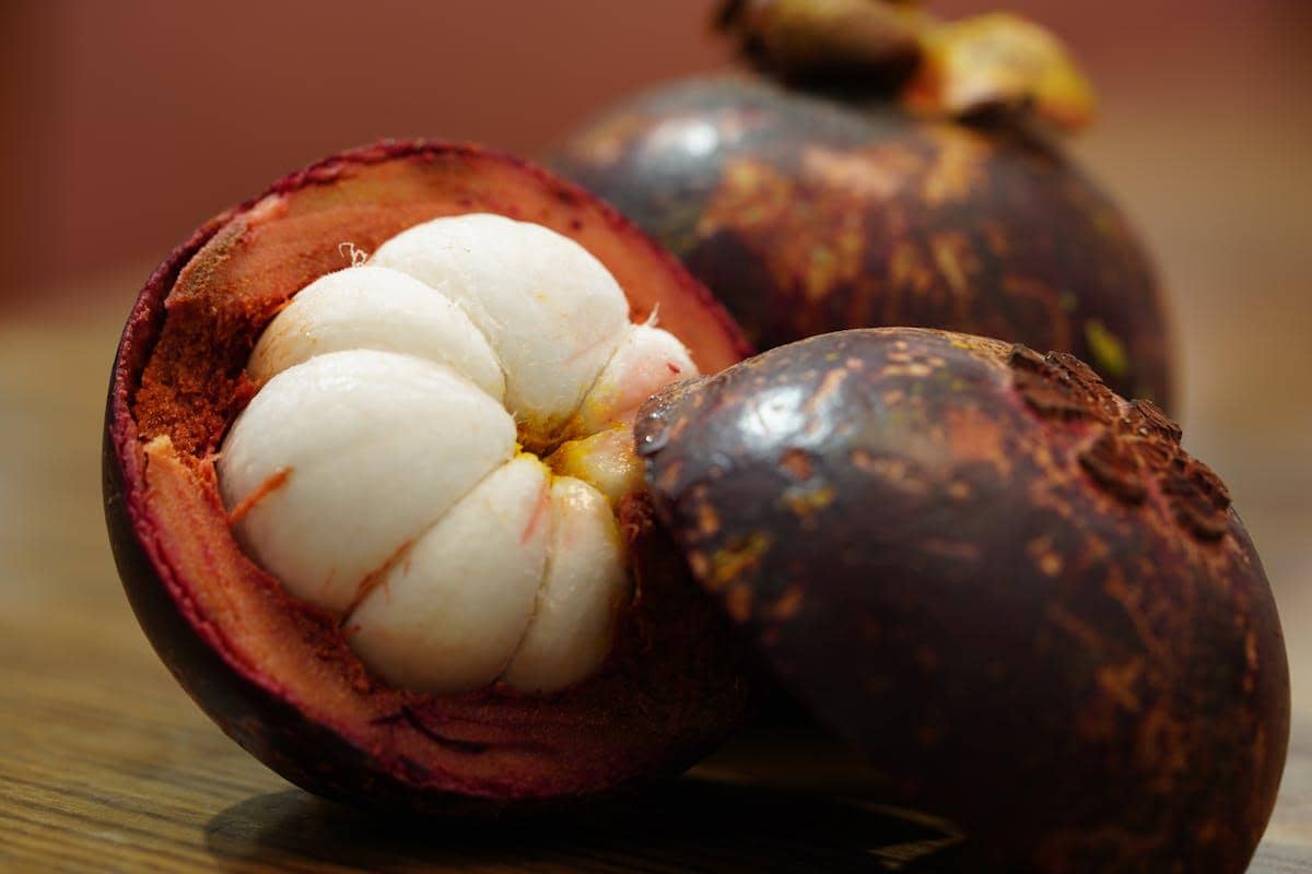 buah manggis