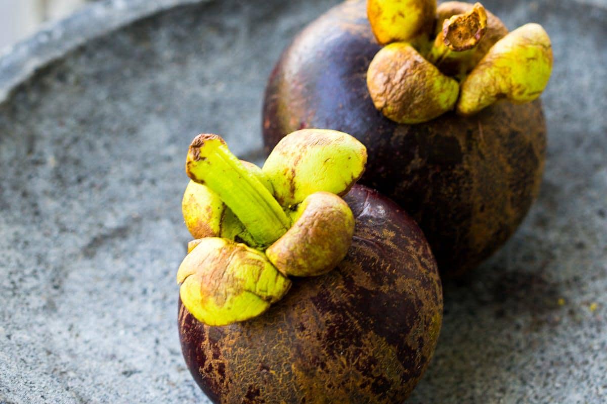 buah manggis
