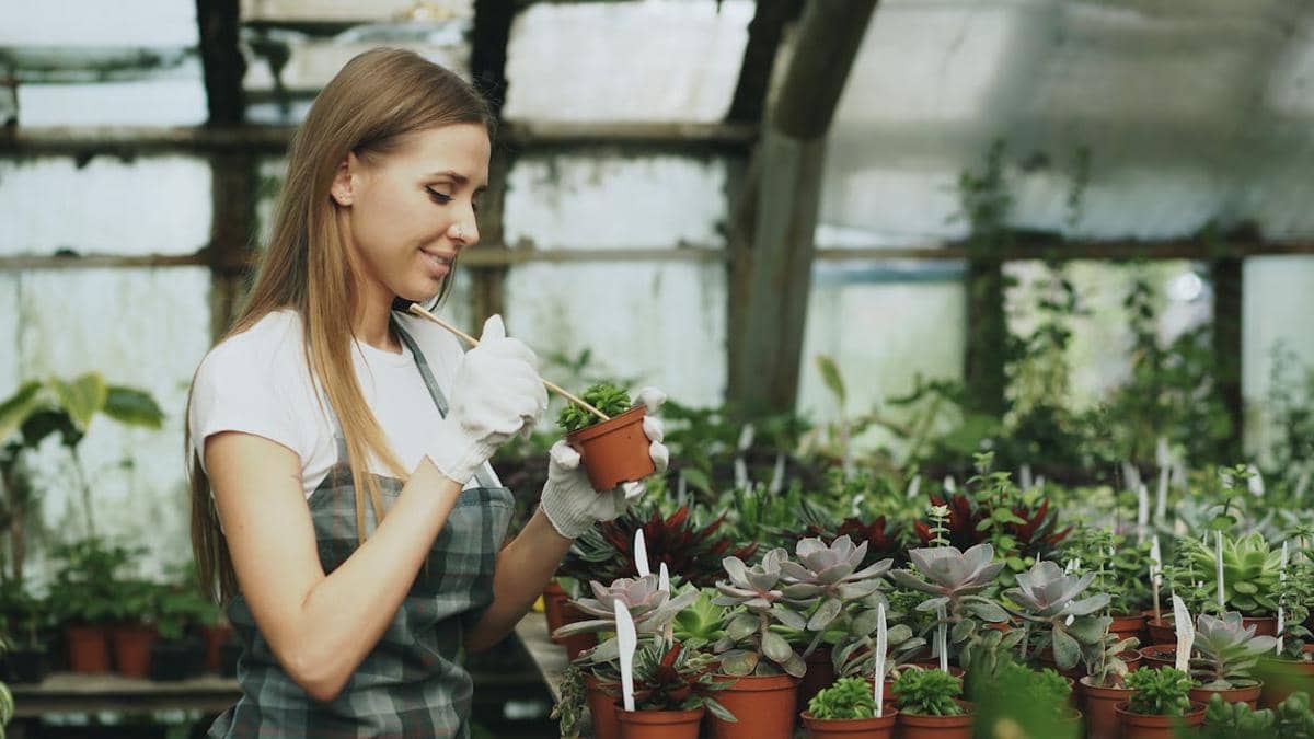 5 Kesalahan yang Bikin Tanaman Baru Gak Bertahan Lama