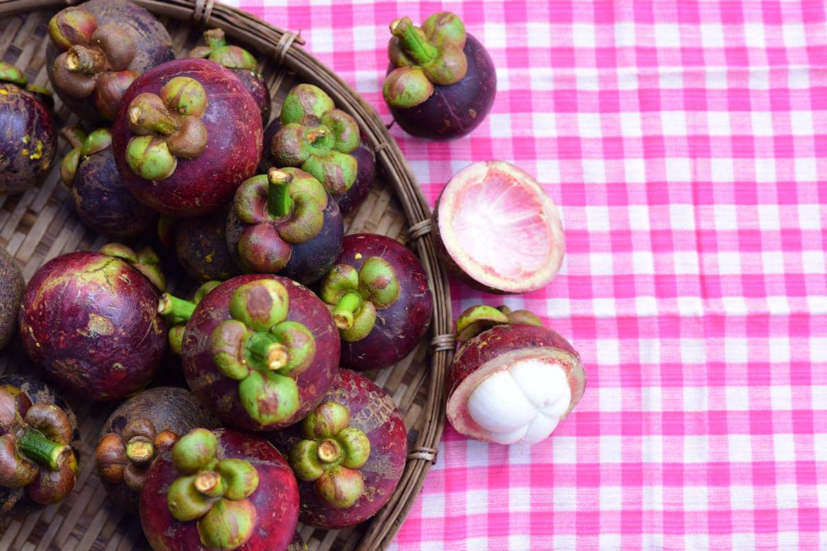 buah manggis