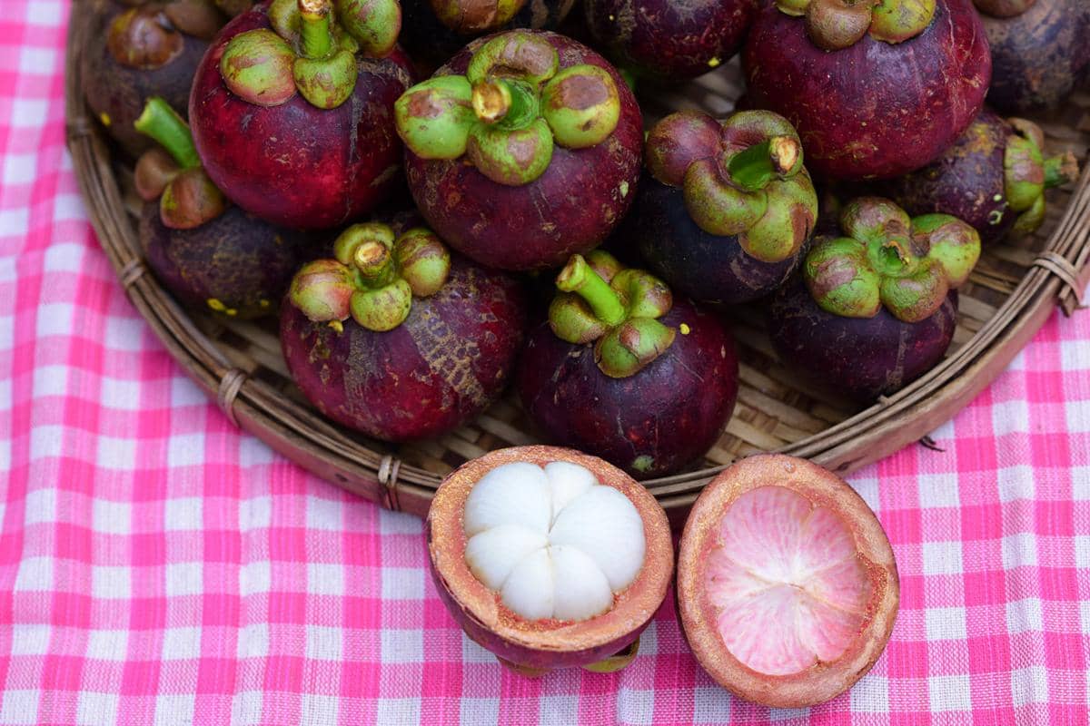 ilustrasi memotong melingkar buah manggis