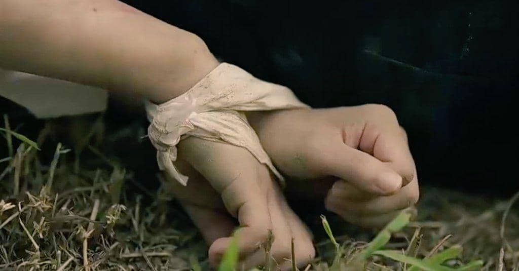 still cut drama The Scarecrow