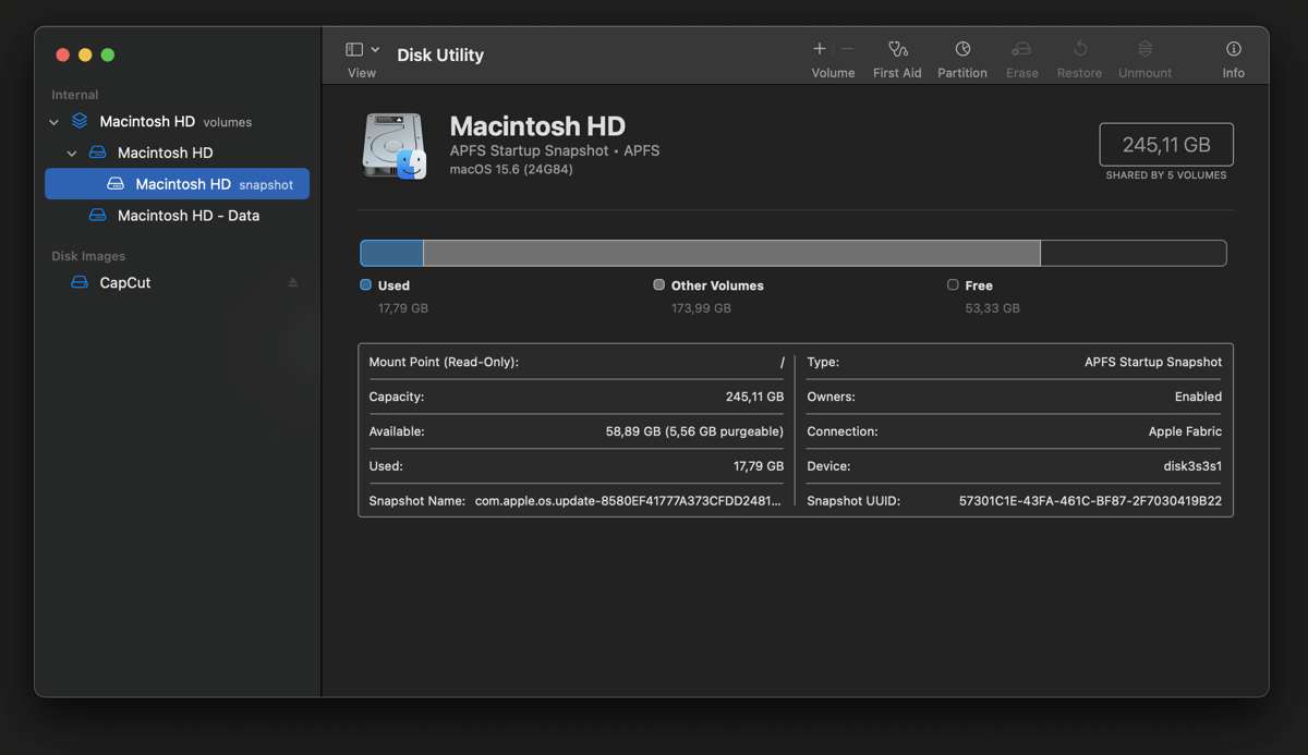 ilustrasi mengecek storage MacBook