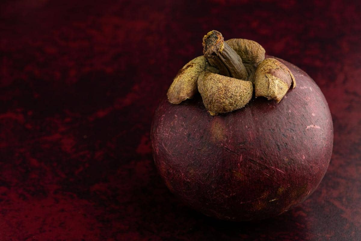 buah manggis