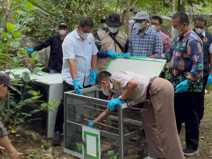 Pelepasliaran ratusan burung di kawasan Taman Hutan Raya (Tahura) Wan Abdul Rachman. (Dok. KSDA Wilayah III Lampung) 