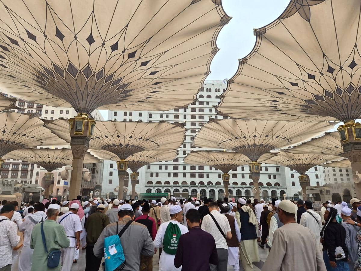 Ribuan jemaah mengenakan pakaian ihram dan gamis berjalan di bawah payung raksasa di halaman Masjid Nabawi pada 24 April 2026.