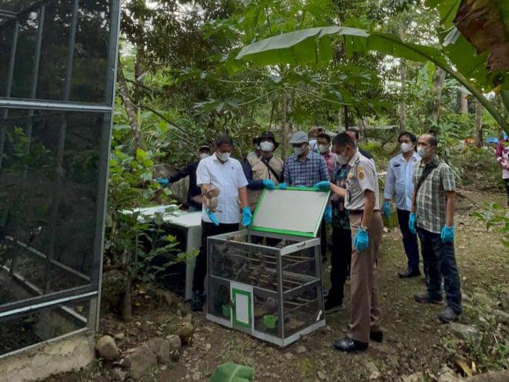 Pelepasliaran ratusan burung di kawasan Taman Hutan Raya (Tahura) Wan Abdul Rachman. (Dok. KSDA Wilayah III Lampung) 