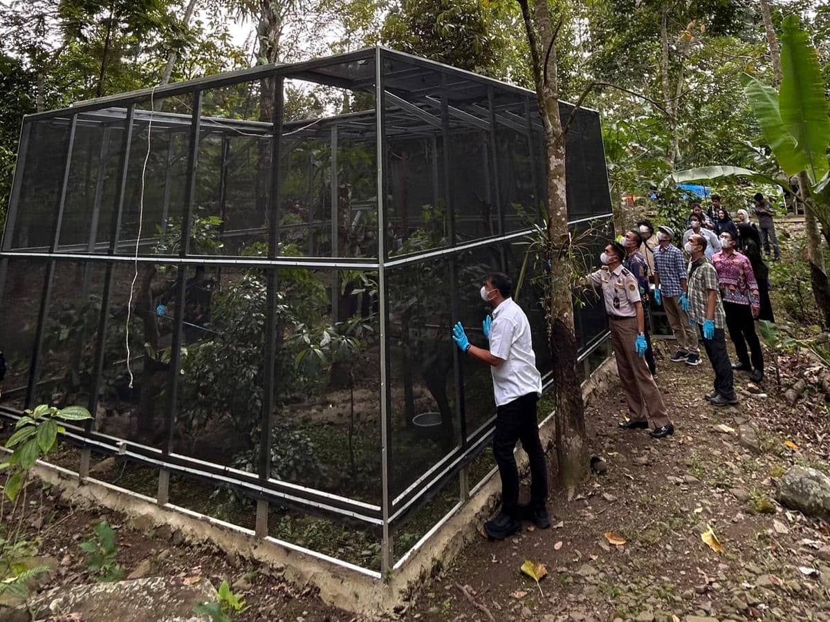 Pelepasliaran ratusan burung di kawasan Taman Hutan Raya (Tahura) Wan Abdul Rachman. (Dok. KSDA Wilayah III Lampung) 