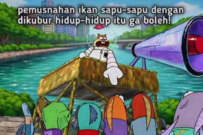 8 Meme Ikan Sapu-sapu yang Viral, Dianggap Merusak Ekosistem Sungai?