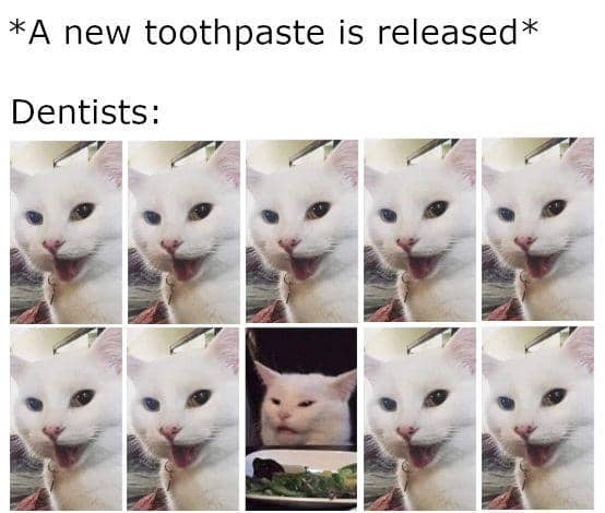meme kucing tentang gigi
