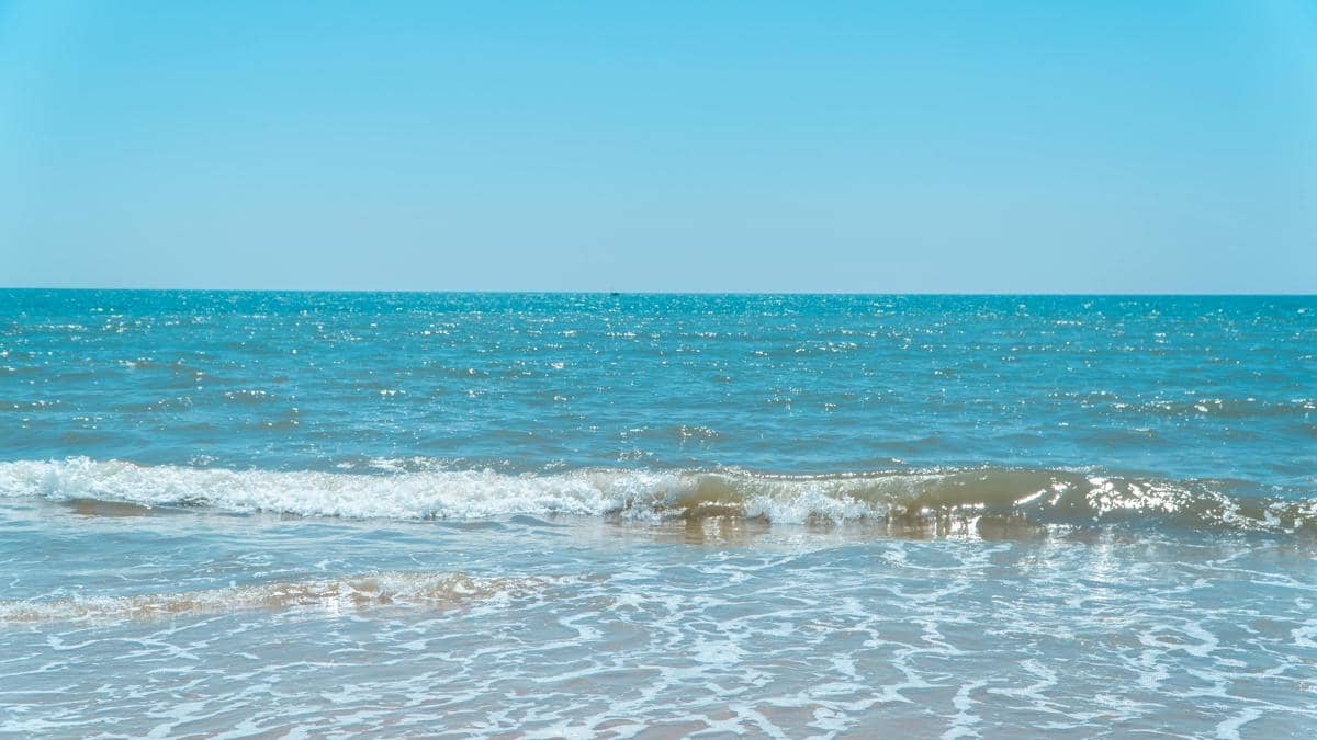 Laut