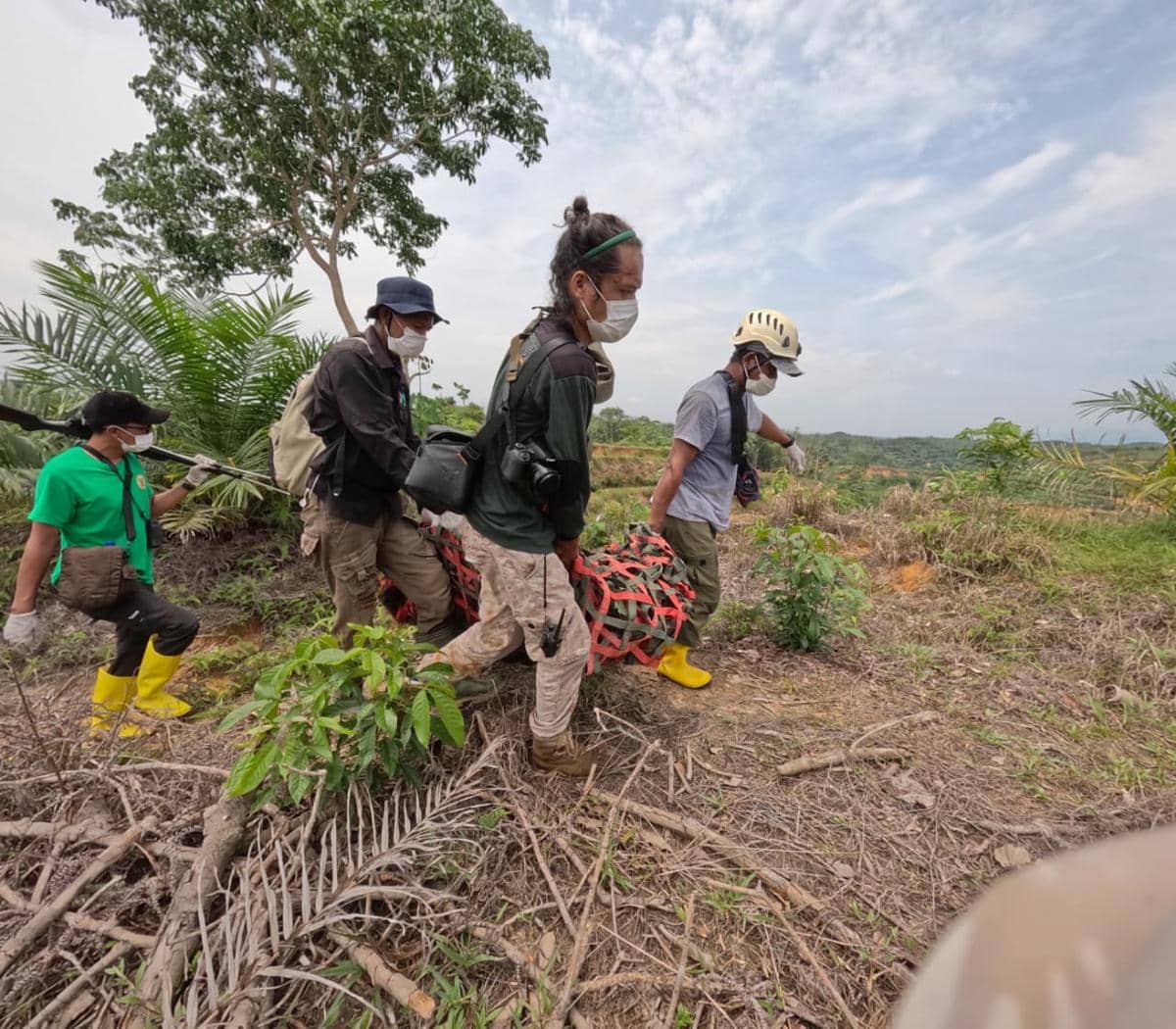 WhatsApp Image 2026-04-23 at 19.23.51.jpeg