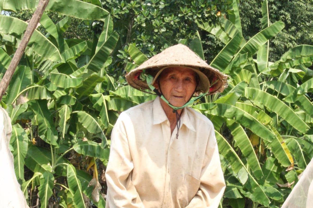 ilustrasi pekerja rumah tangga (pixabay.com/vequangcaohaidang)