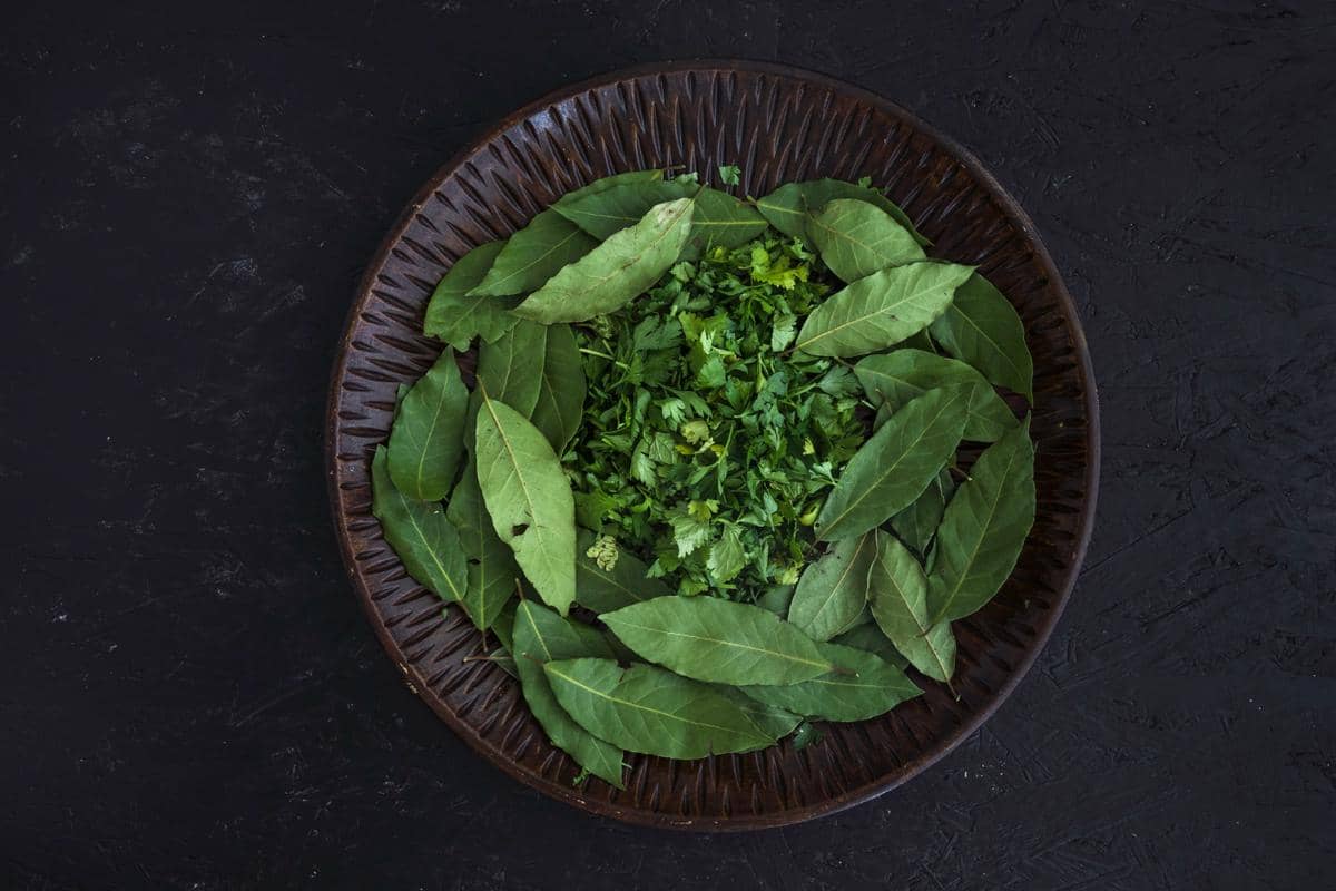 ilustrasi daun rempah 