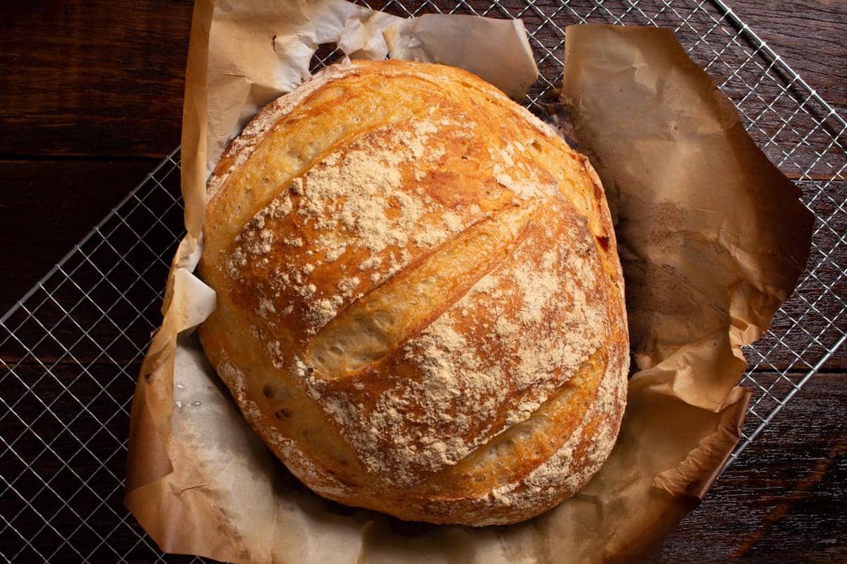 ilustrasi sajian roti sourdough