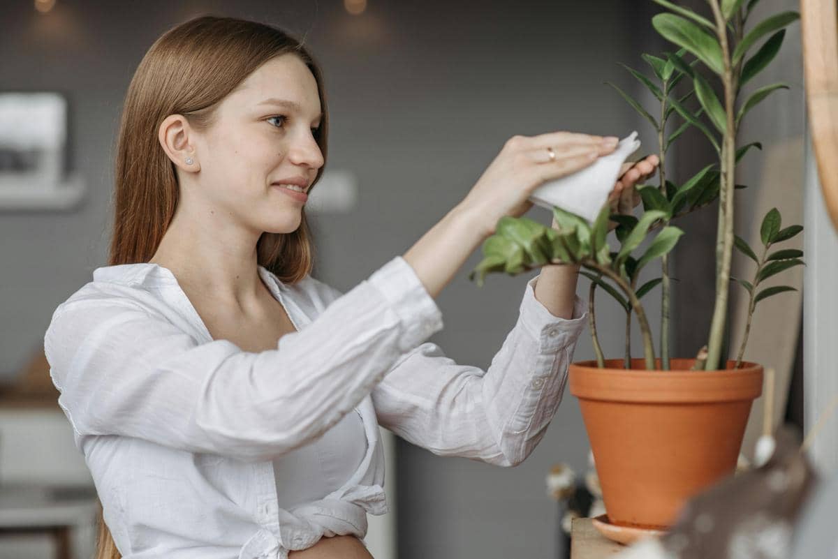 Ilustrasi seseorang membersihkan daun 