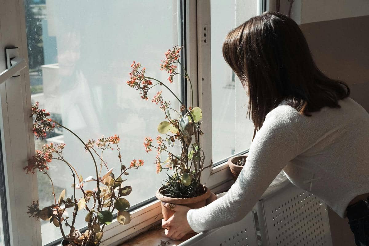 Ilustrasi seseorang merawat tanaman 