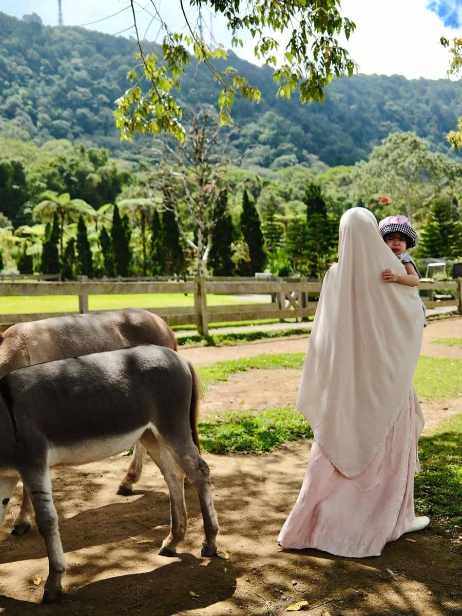 Larissa Chou berlibur bersama anak di Bedugul, Bali