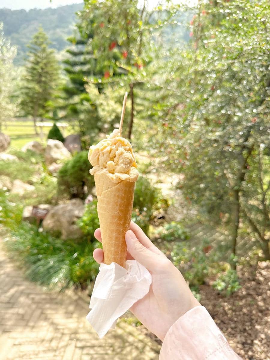 Larissa Chou berlibur bersama anak di Bedugul, Bali