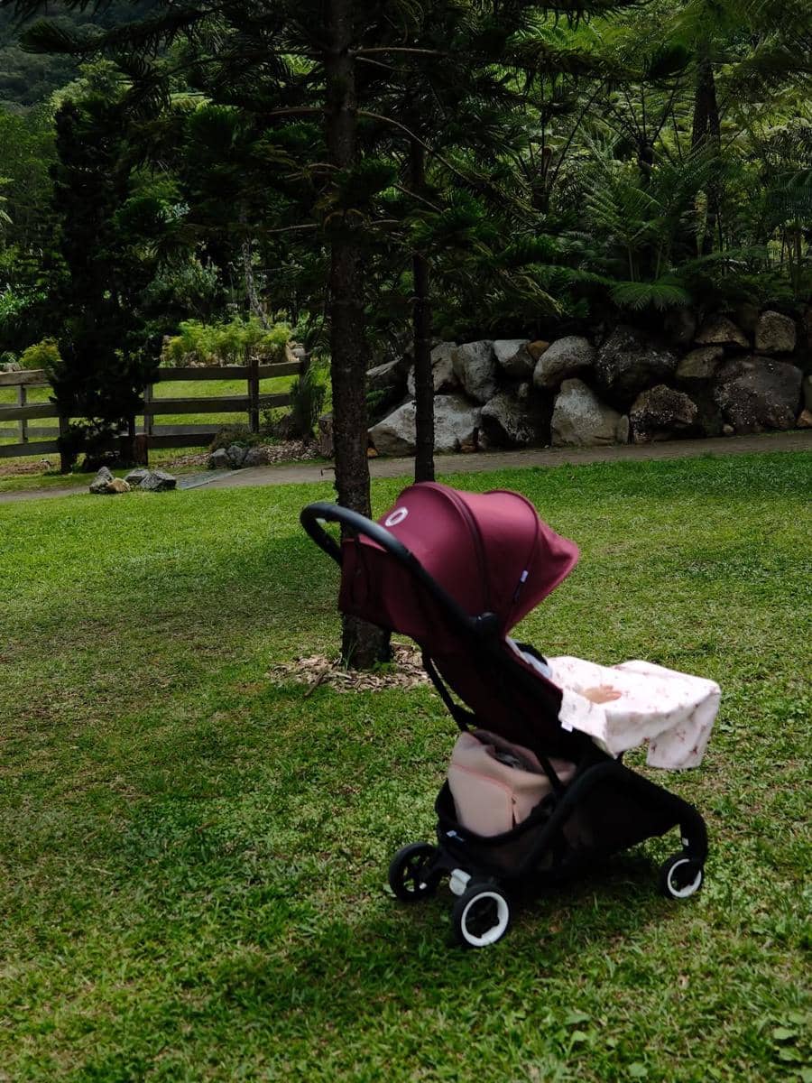 Larissa Chou berlibur bersama anak di Bedugul, Bali