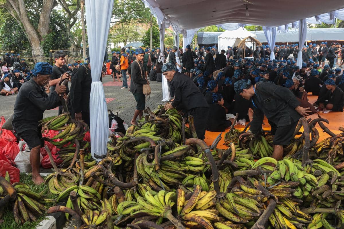 Warga Suku Baduy merapikan hasil bumi yang dibawa saat tradisi Seba Baduy di halaman Gedung Negara Provinsi Banten, Kota Serang, Banten, Sab
