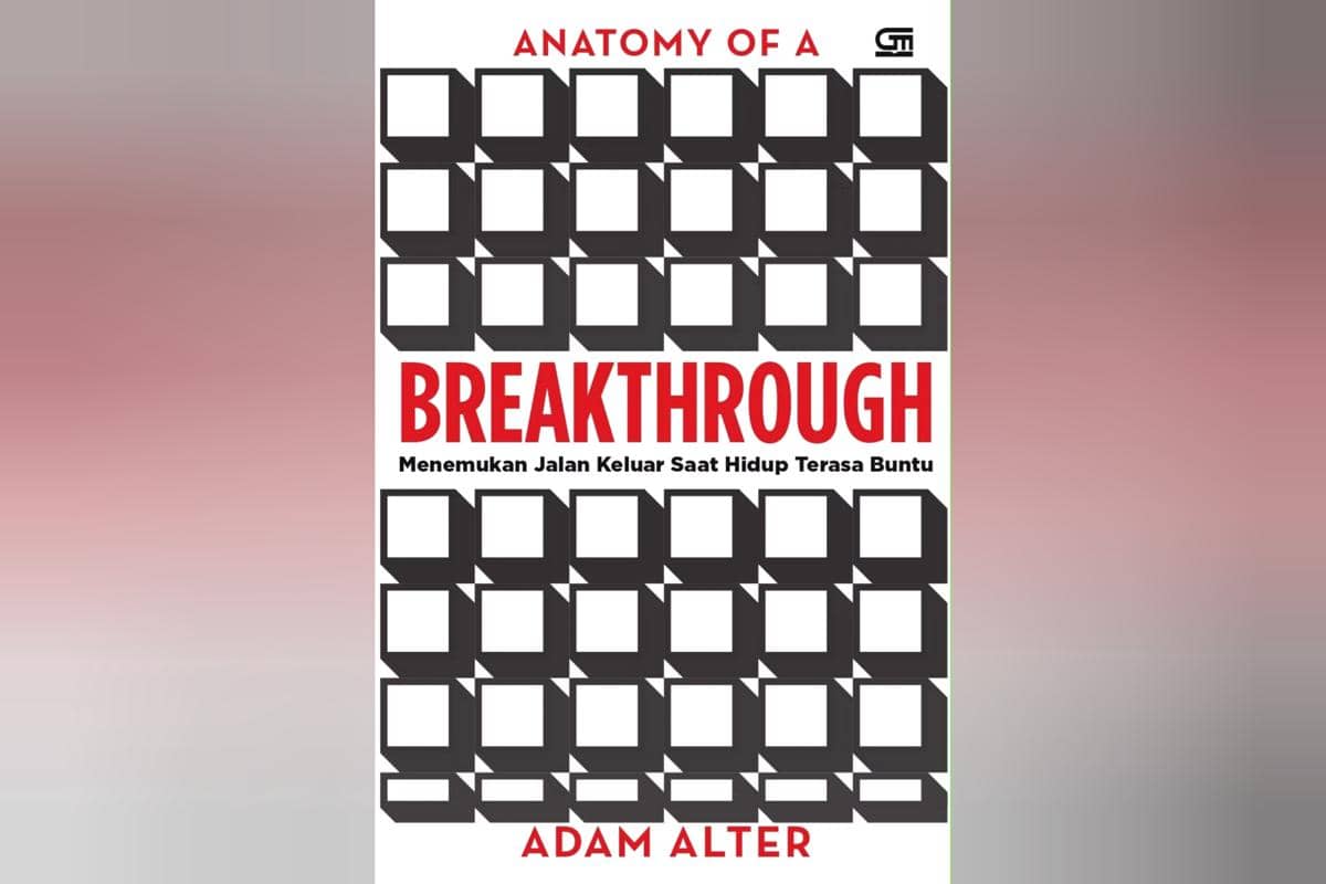 cover buku Anatomy of a Breakthrough