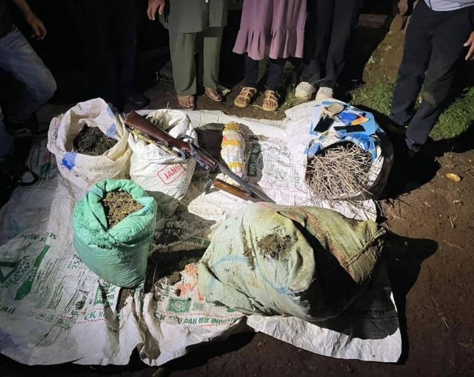 Polisi grebek ladang ganja seluas 20 hektar di Empat Lawang. (Dok. Polda Sumsel)