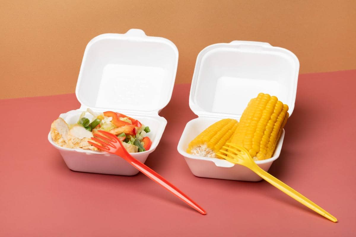 ilustrasi makanan di styrofoam