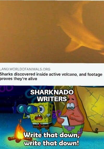 Meme kartun menampilkan adegan hiu di dalam gunung berapi aktif dan karakter SpongeBob serta Patrick menulis ide dengan teks lucu.