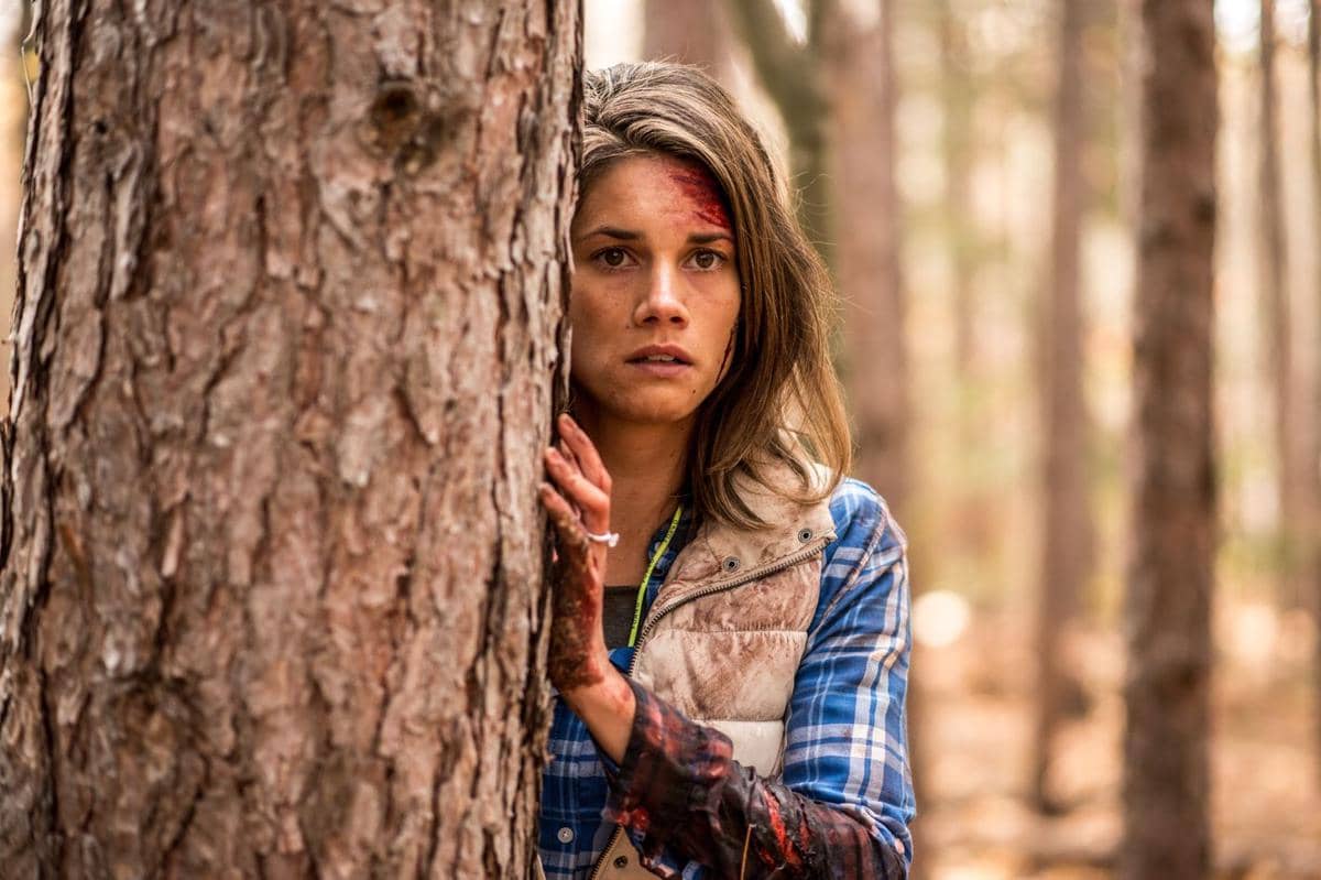 adegan dalam film Backcountry 