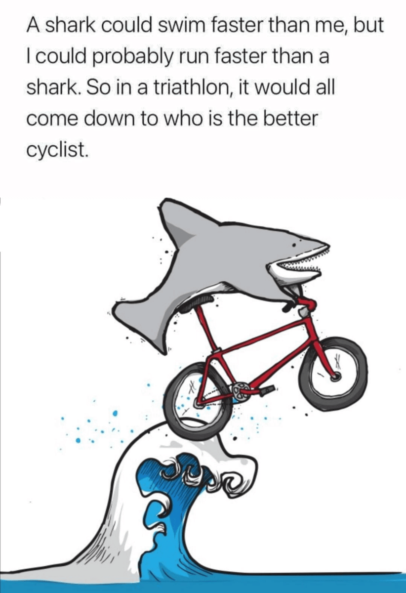 Ilustrasi kartun seekor hiu mengendarai sepeda merah di atas ombak laut dengan gaya lucu dan humoris.