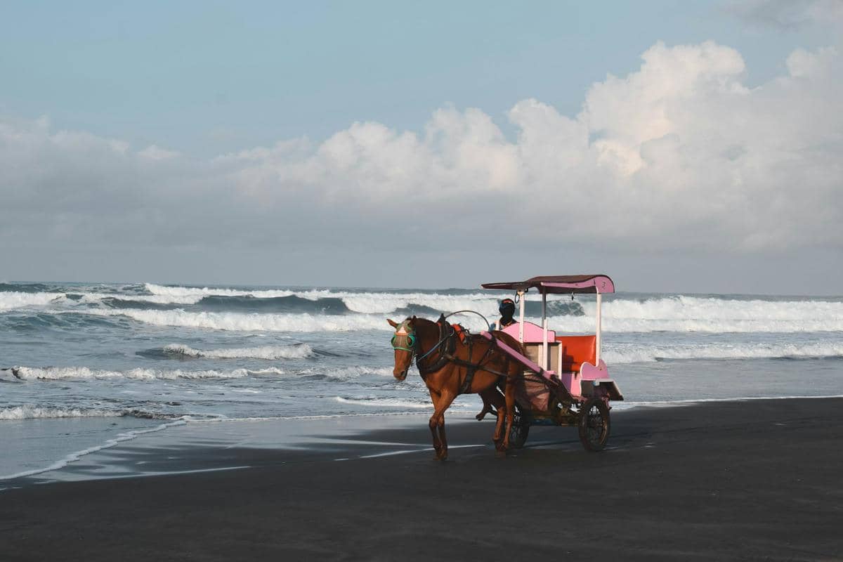 Pesona pantai Parangtritis