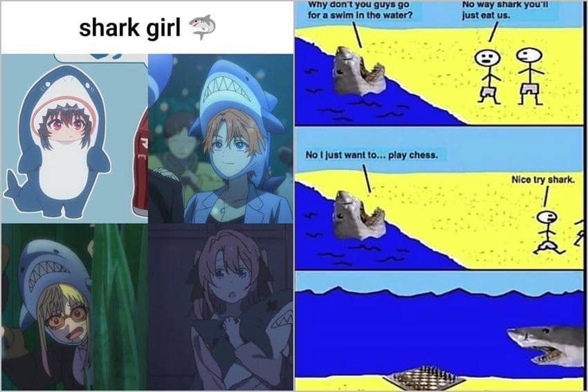 8 Meme Kartun tentang Hiu, Aslinya Lucu dan Gemas?
