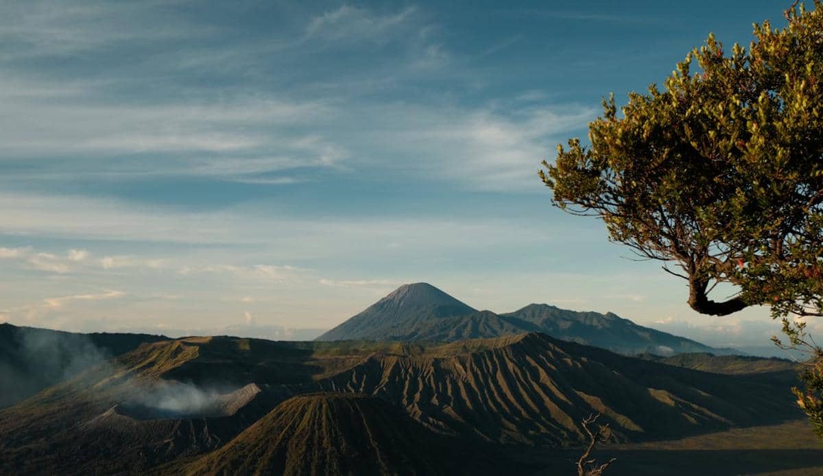 Kenapa Gunung Semeru Disebut Atap Pulau Jawa?