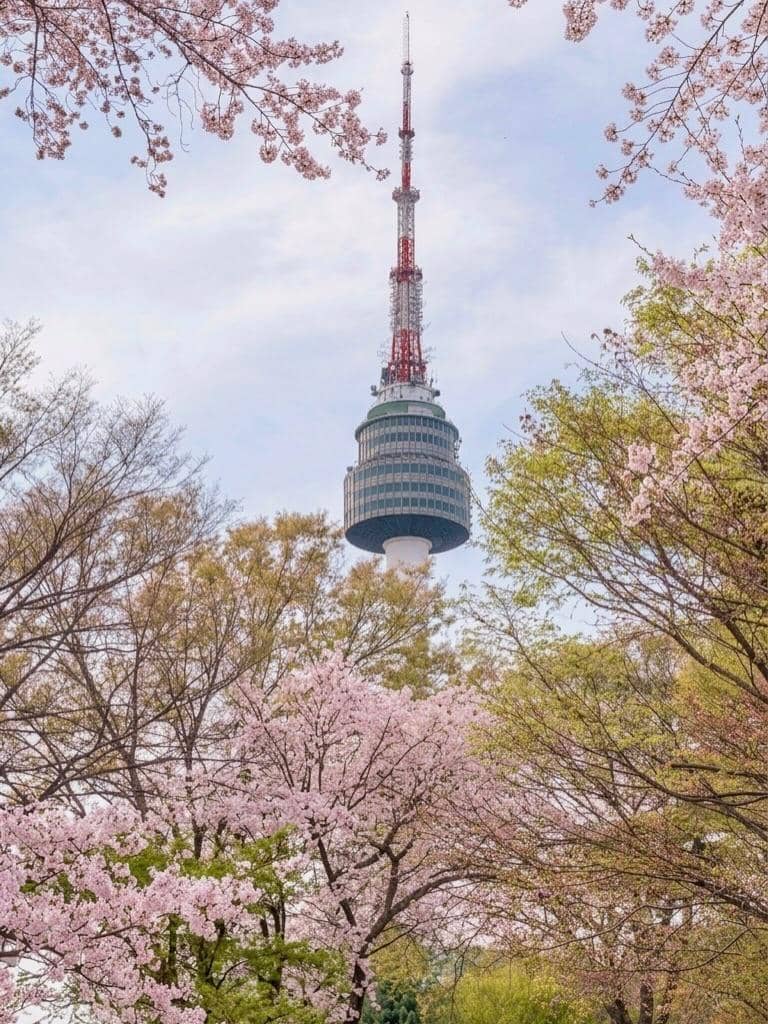Yulita MCI5 menikmati sakura di Namsan Tower