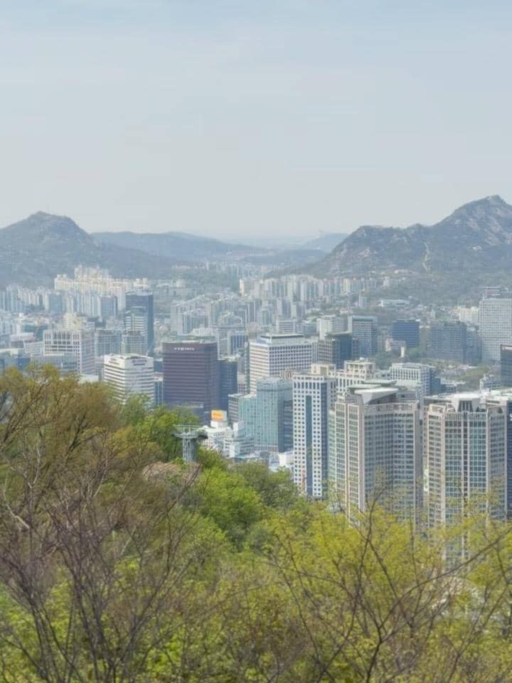 Yulita MCI5 menikmati sakura di Namsan Tower