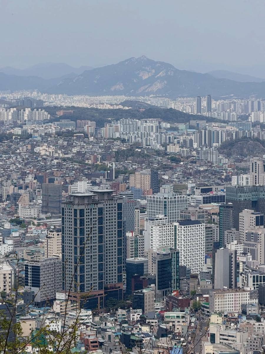 Yulita MCI5 menikmati sakura di Namsan Tower