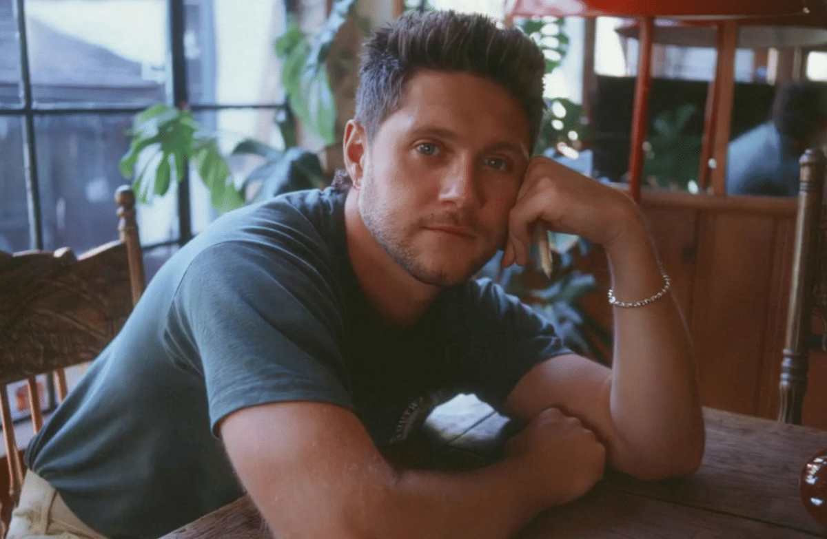Niall Horan dalam "Little More Time"