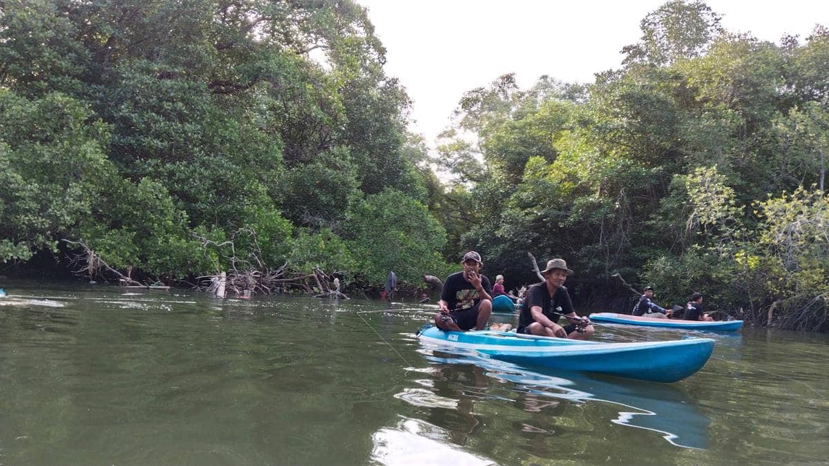 Mangrovebali