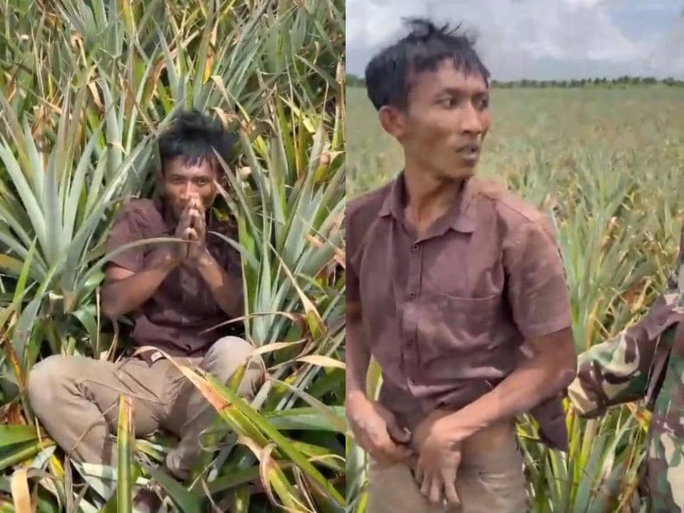 Curi Sapi Petani, Pria di Lampung Tengah Diamuk Warga