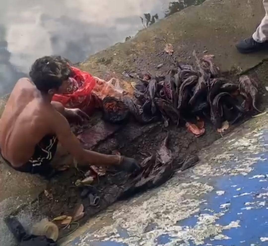 Pria diduga jual daging ikan sapu-sapu