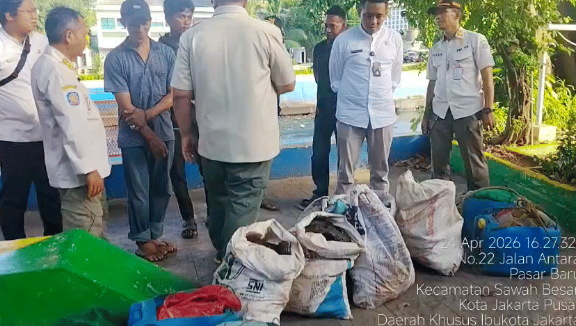 Untuk Bahan Bakso-Siomai, Ikan Sapu-sapu Dijual Rp15 Ribu Per Kilogram