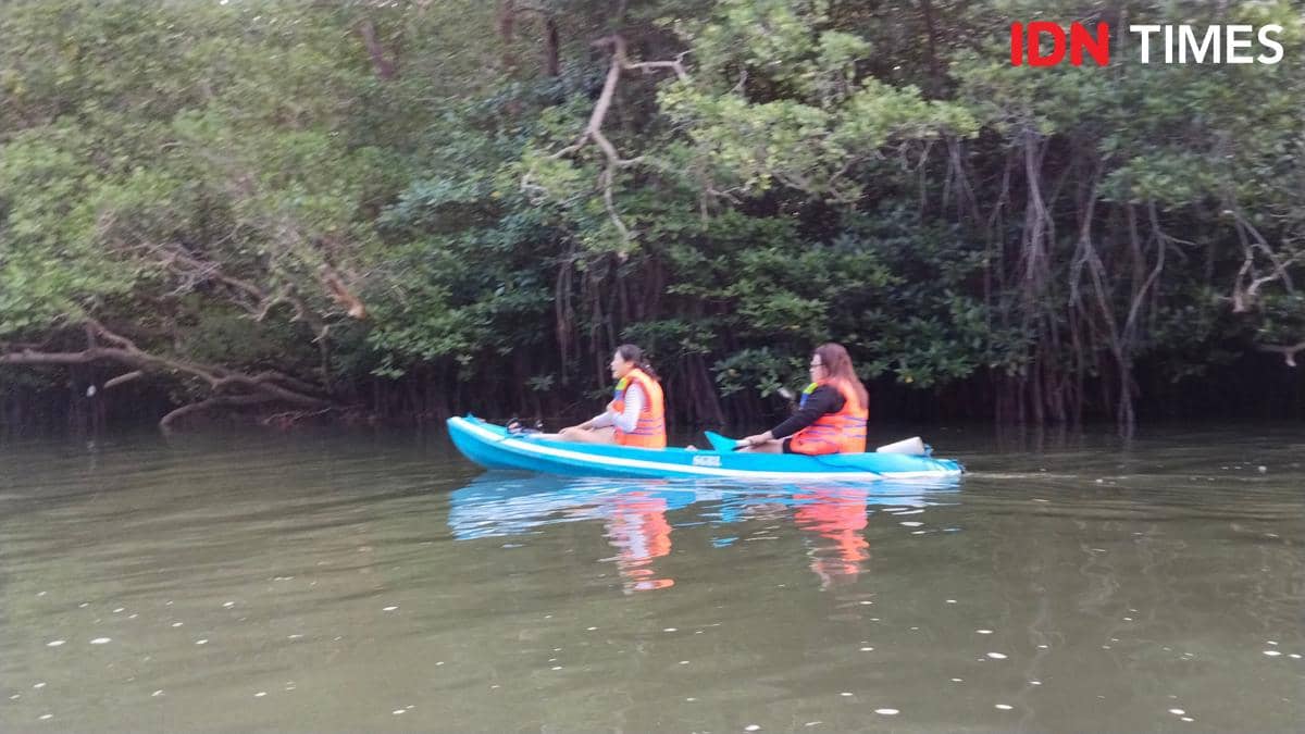 Tips Main Kano di Kawasan Mangrove Ekowisata Batu Lumbang Denpasar