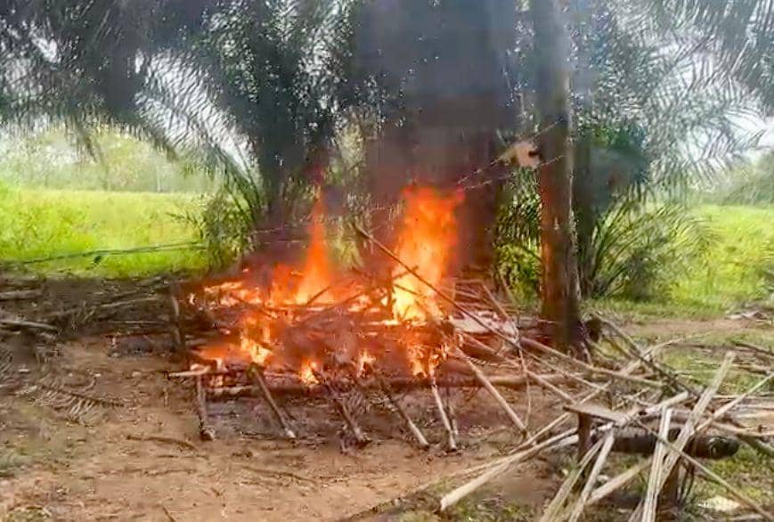 Polisi Bakar Gubuk Diduga Lokasi Pesta Sabu di Gunung Sugih