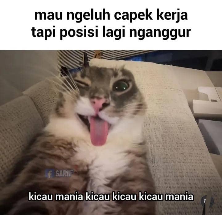 meme "Kicau Mania"
