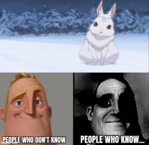 meme anime tentang kelinci