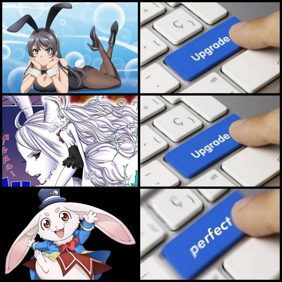 meme anime tentang kelinci