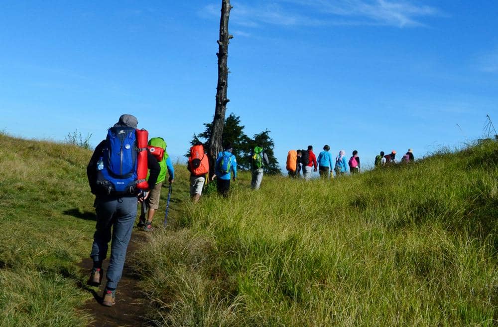 Kelompok pendaki di jalur pendakian